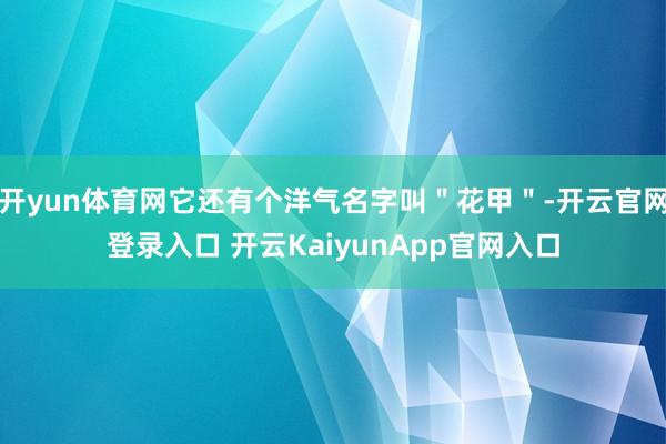 开yun体育网它还有个洋气名字叫＂花甲＂-开云官网登录入口 开云KaiyunApp官网入口