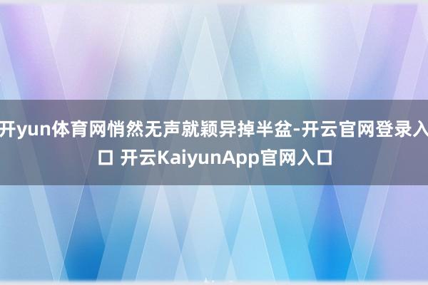 开yun体育网悄然无声就颖异掉半盆-开云官网登录入口 开云KaiyunApp官网入口
