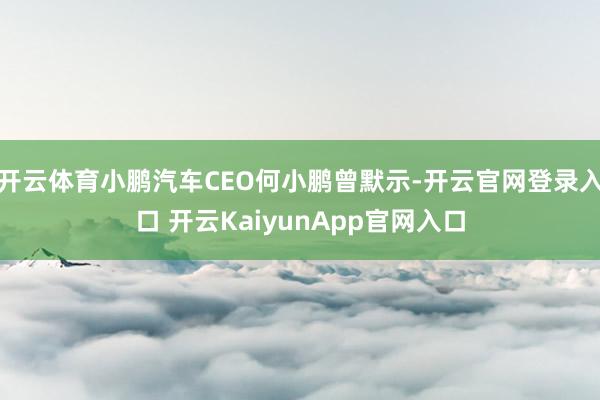 开云体育小鹏汽车CEO何小鹏曾默示-开云官网登录入口 开云KaiyunApp官网入口