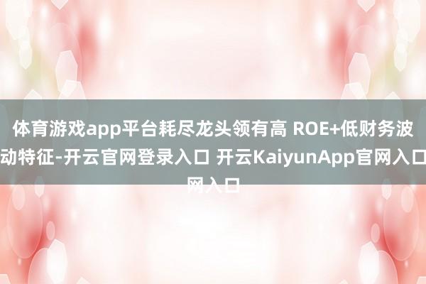 体育游戏app平台耗尽龙头领有高 ROE+低财务波动特征-开云官网登录入口 开云KaiyunApp官网入口