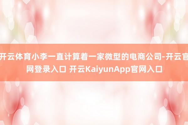 开云体育小李一直计算着一家微型的电商公司-开云官网登录入口 开云KaiyunApp官网入口