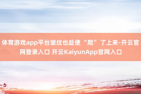 体育游戏app平台皱纹也趁便 “爬” 了上来-开云官网登录入口 开云KaiyunApp官网入口