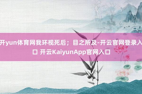 开yun体育网我环视死后;目之所及-开云官网登录入口 开云KaiyunApp官网入口