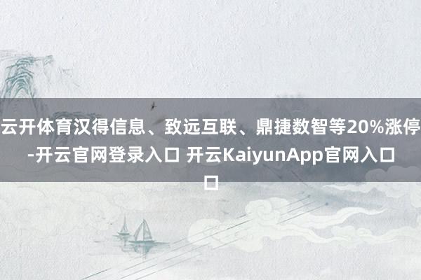 云开体育汉得信息、致远互联、鼎捷数智等20%涨停-开云官网登录入口 开云KaiyunApp官网入口