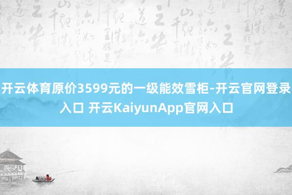 开云体育原价3599元的一级能效雪柜-开云官网登录入口 开云KaiyunApp官网入口